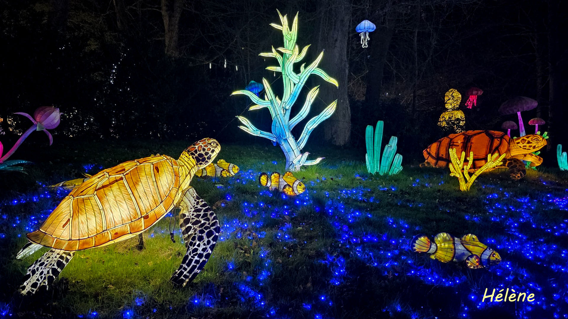 THOIRY -Illumination ,  Lumières sauvages 2025-2026